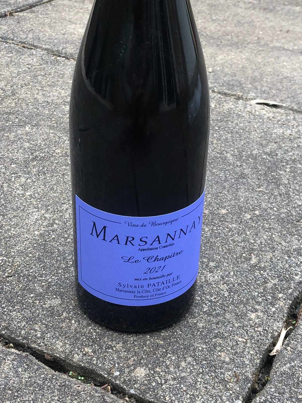 From Marsannay with Intention: The Winemaking of Sylvain Pataille